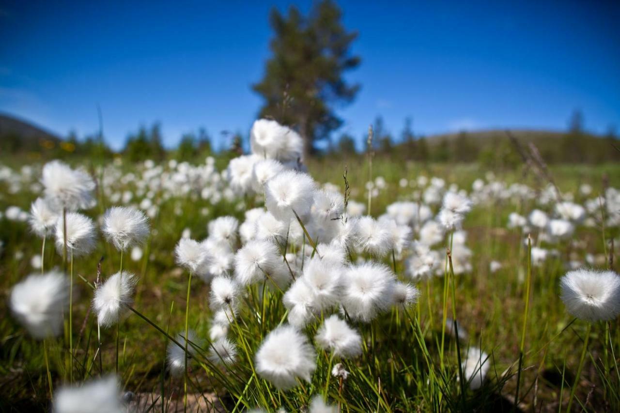Lapland Hotels Kuopio Bagian luar foto